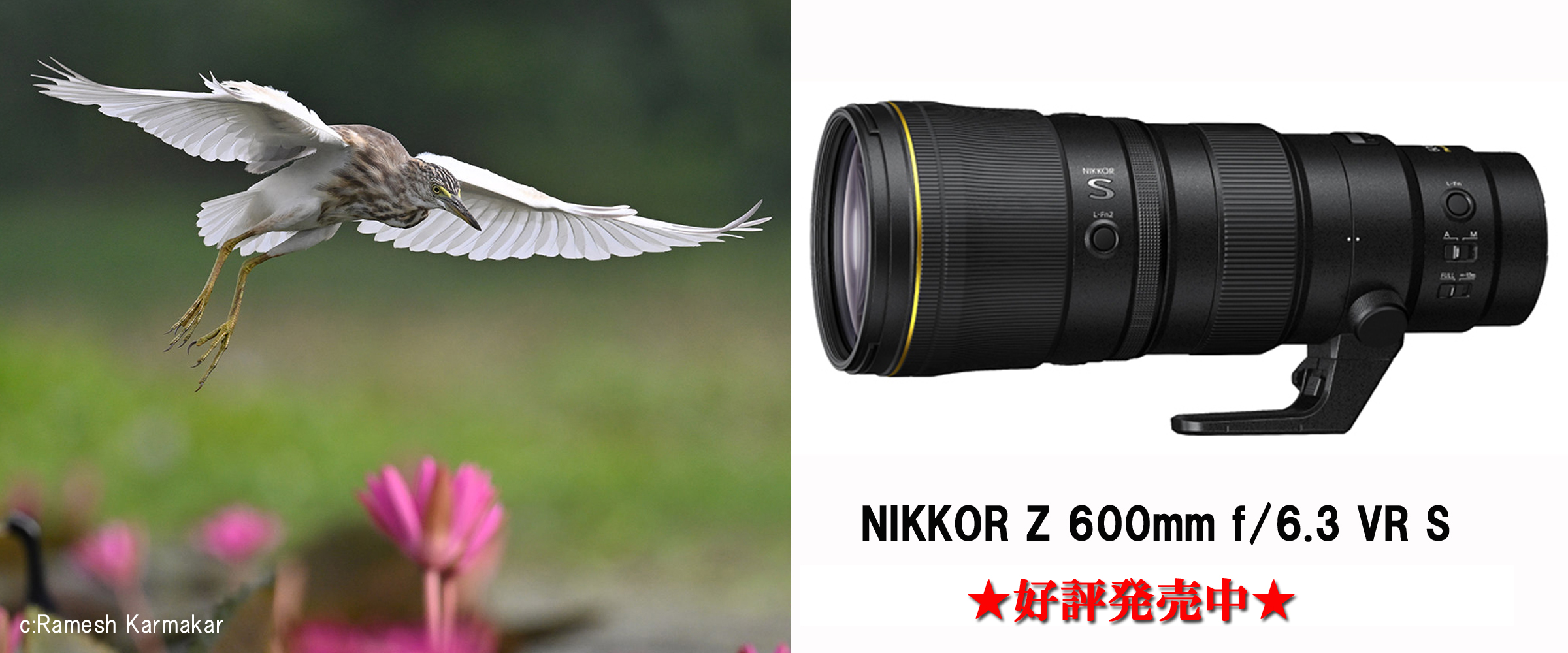 Nikon S 純正レザーケースとレンズケース